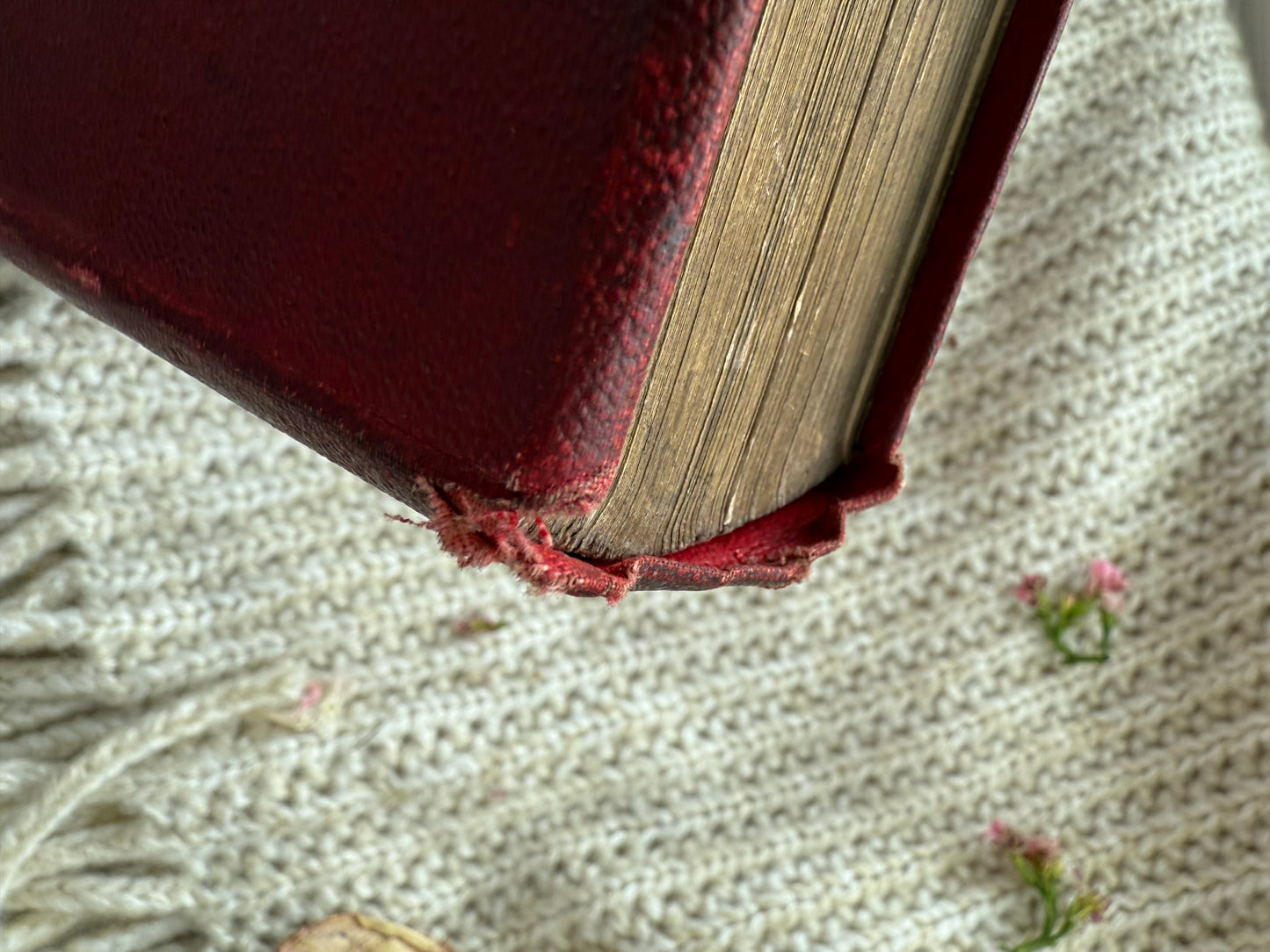 Jane Eyre Charlotte Bronte