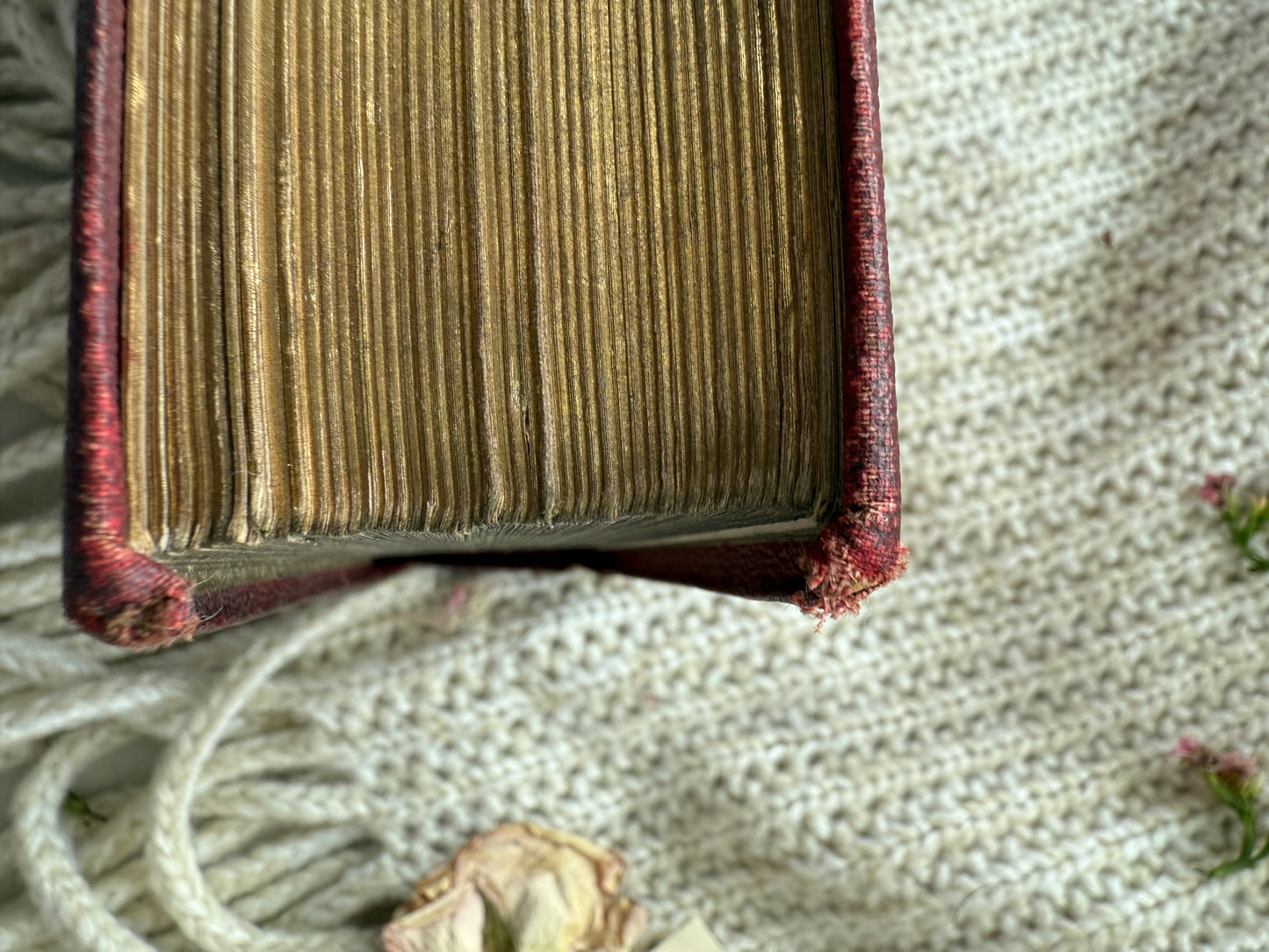 Jane Eyre Charlotte Bronte